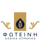 ΦΩΤΕΙΝΗ ΠΑΡΑΔΟΣΙΑΚΑ ΖΥΜΑΡΙΚΑ